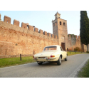 Silencieux intermédiaire Alfa Romeo Duetto / Spider 1° SERIE - 1.6 (109CV) 'OSSO DI SEPPIA' 1966 - 1968